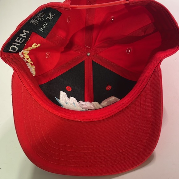 Diem SnapBack - Picture 3 of 4